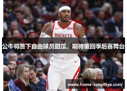 公牛将签下自由球员甜瓜，期待重回季后赛舞台